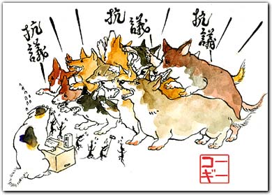 講義講義／コーギー